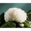 古田银耳（六朵）（地标产品） 商品缩略图2