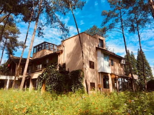 【蒲江明月村·343号院】5房/6房/7房/8房/9房独立小院，带台球、K歌、泳池，手工~XJ 商品图3