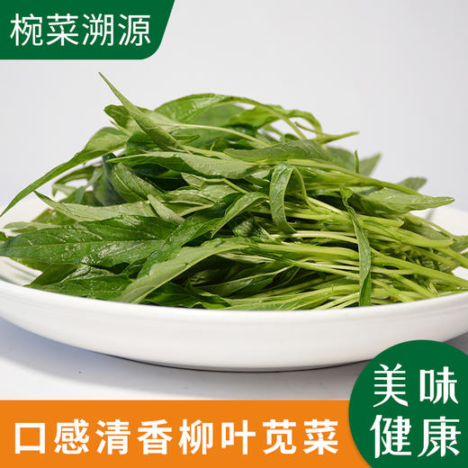 柳叶青苋菜农户胡明秀约400g份