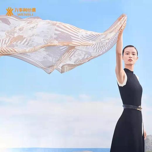 真丝沙滩巾 极光 商品图0