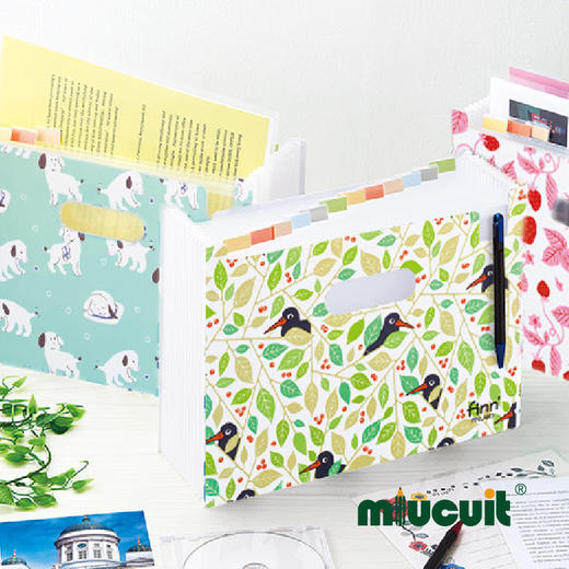 日本进口sedia-Finn 横版12档学生收纳风琴文件夹 商品图0