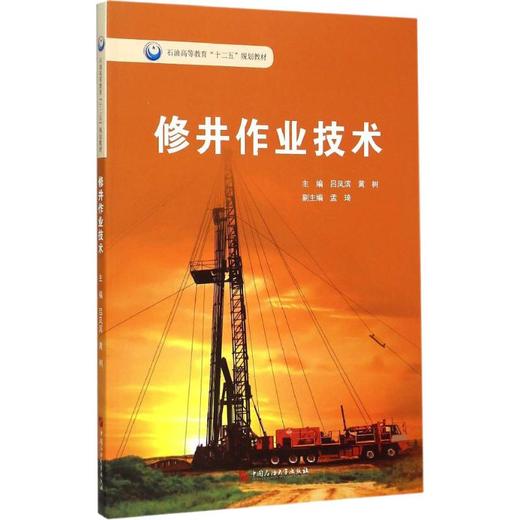 修井作业技术 商品图0