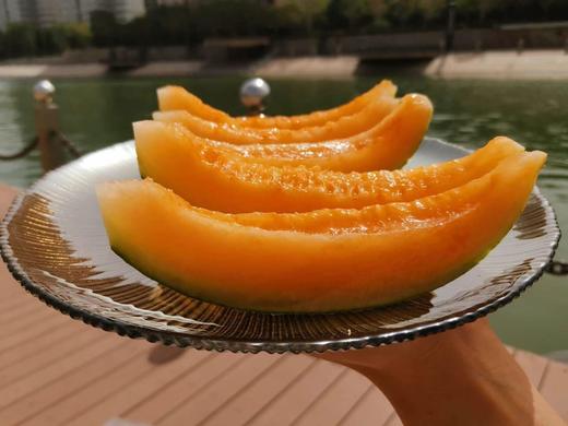 新疆西州蜜25号哈密瓜 /新疆冰淇淋蜜瓜 顺丰空运 商品图5