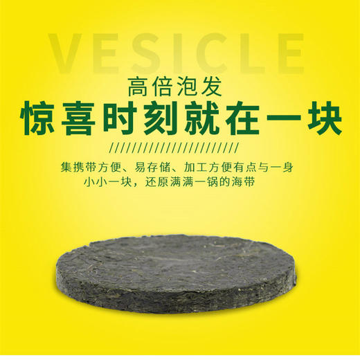 大连美食 竹岛烘干压缩海带丝22g/袋*8袋产品组合 商品图4