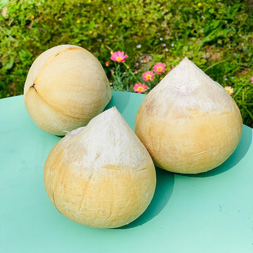 新鲜椰皇到啦，最大颗粒，打开一汪清泉，都溢出来了，挂在树上的天然饮品，喝一口，香甜到心底，补充电解质，补水神器~ 商品图3