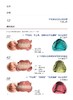 具有稳定咬合的总义齿形态 对临床有非常强的指导意义口腔科学书籍 生田龙平小久保京子主编9787559119681辽宁科学技术出版社 商品缩略图3