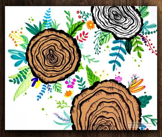 《记载岁月的年轮》【自动发货：下单后，点击手机短信中收到的链接，即可获取文件下载的链接；如有任何问题，可添加客服微信hm33268获得帮助】 商品图0