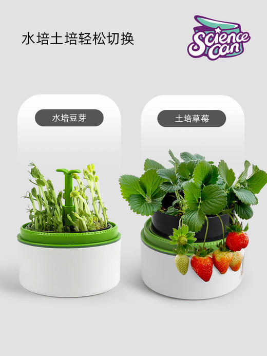 科学罐头孟德尔培育舱儿童种植小盆栽迷你立体植物观察实验盒 商品图4