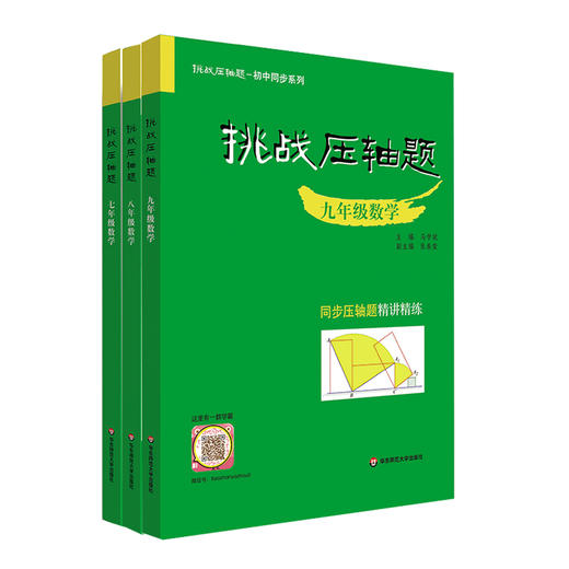 挑战压轴题 中考数学7-9年级 初中同步系列 精讲精练 马学斌 商品图0