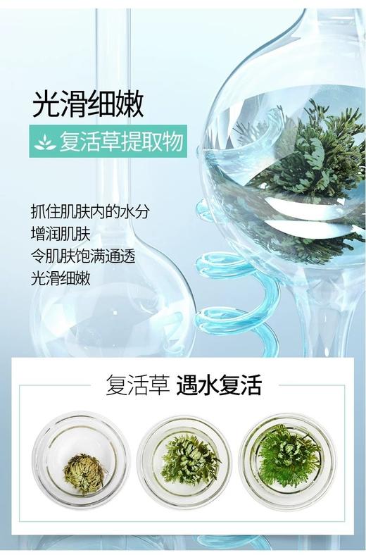 润百颜单支次抛 商品图1