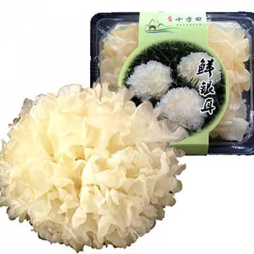 古田银耳（六朵）（地标产品） 商品图1