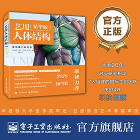 艺用人体结构(精华版)
