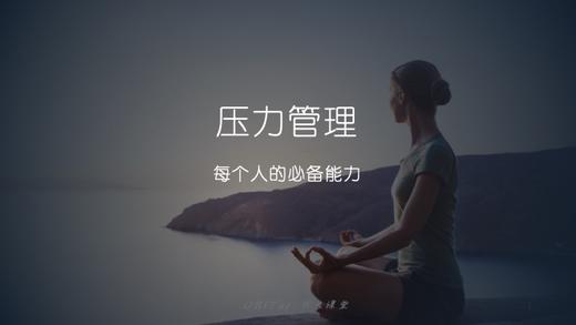 压力管理 商品图0