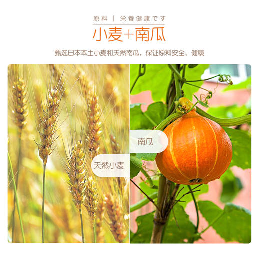 和寓良品 日本原装进口面条 无盐南瓜味细碎面 营养粒粒面细碎面 宝宝儿童面条普通食品面条 100g/袋【 和寓良品】 商品图4