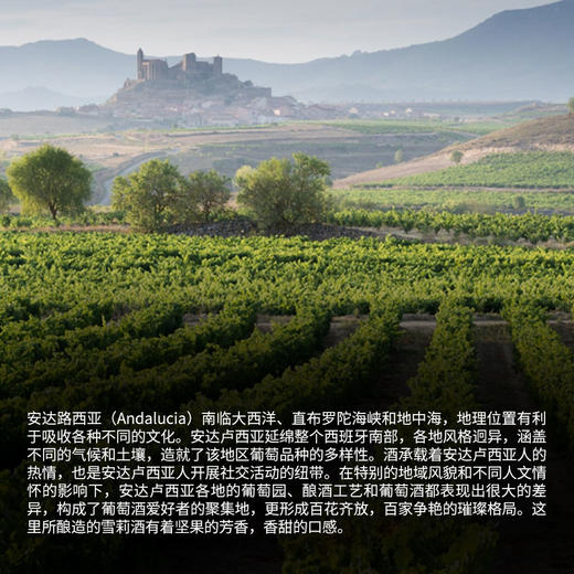 蔻冽园菲诺雪莉葡萄酒(利口葡萄酒) 750mL RP96  Vina Corrales Pago Balbaina Fino 商品图2