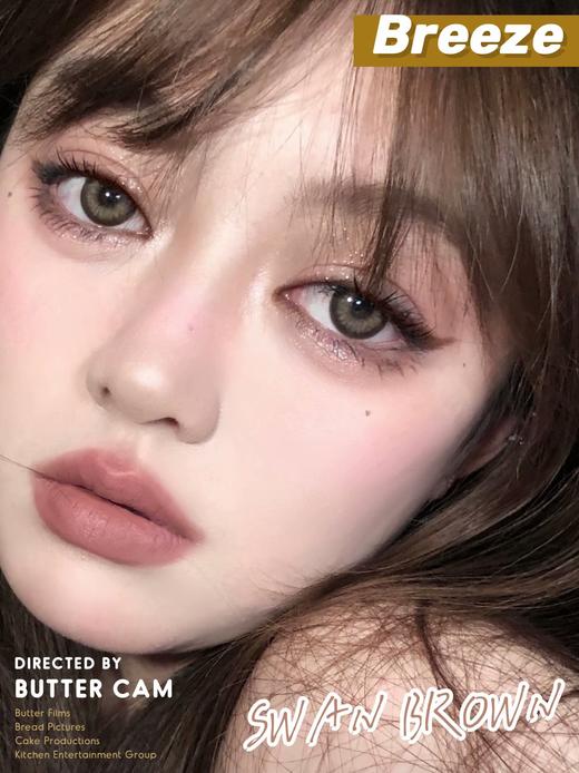 Breeze黑天鹅棕 约14.5mm 着色约13.9mm【年抛型】【瞳孔偏大可能会挡视线，介意慎拍】  商品图1