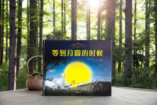 玛格丽特经典绘本（重要书+小兔听听听+等到月圆的时候）全三册 商品图6