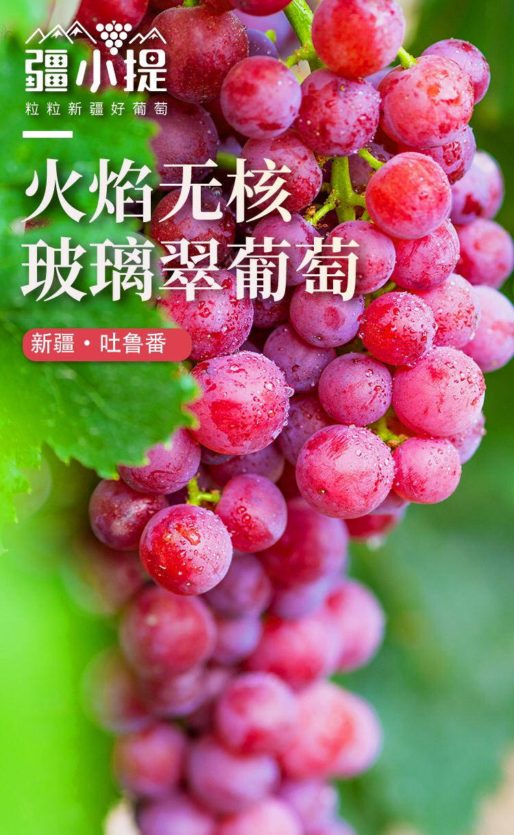 【暑期大放送】【排单发货】疆小提火焰无核玻璃翠葡萄