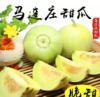 马连庄甜瓜 商品缩略图0