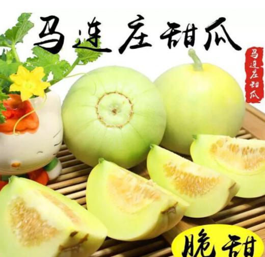 马连庄甜瓜 商品图0
