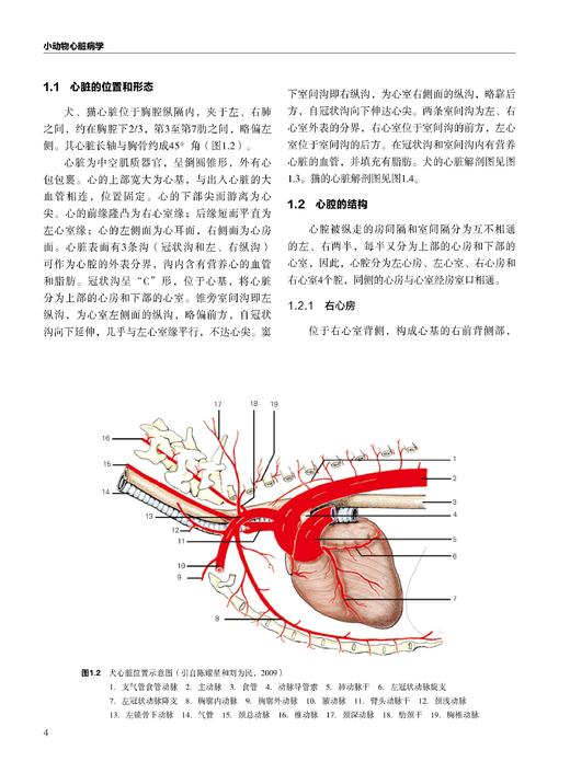 小动物心脏病学 商品图2