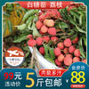 时令水果 白糖罂荔枝 每箱5斤装起 包邮 商品缩略图0