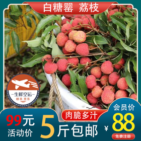 时令水果 白糖罂荔枝 每箱5斤装起 包邮