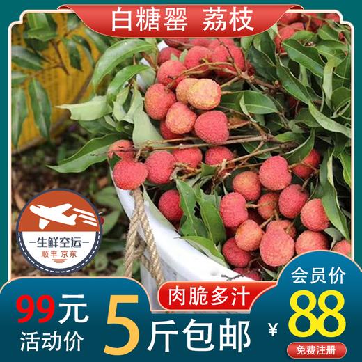 时令水果 白糖罂荔枝 每箱5斤装起 包邮 商品图0