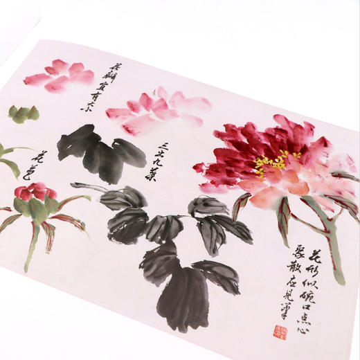刘海勇花鸟课徒稿 南山课稿 中国美术学院名家教学示范作品 学生创作中国画初学入门临摹教程画册页国画绘画技法赏析教材作品画集——浙江摄影出版社 商品图3