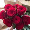 国产玫瑰-高原红-20枝/扎 商品缩略图0