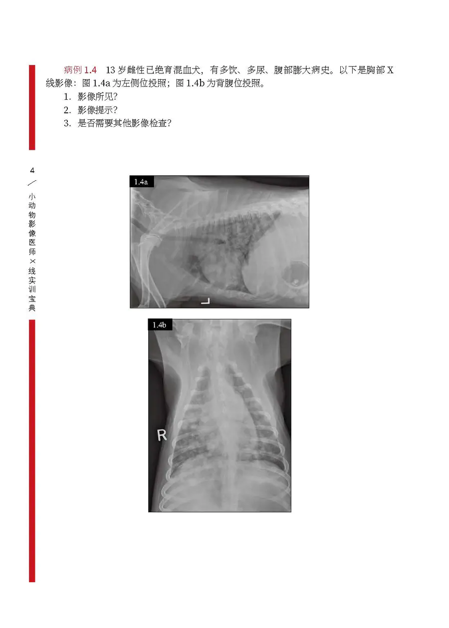 小动物影像医师x线实训宝典