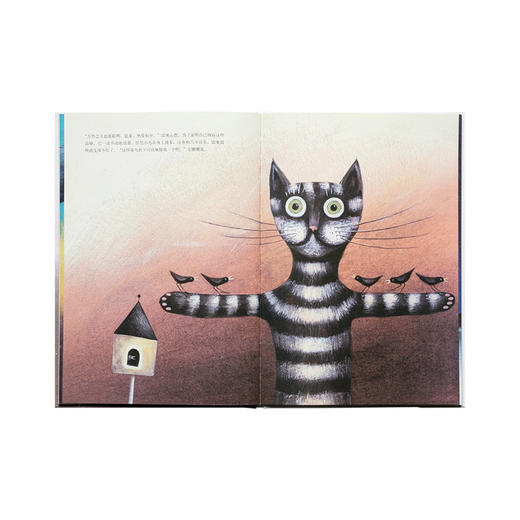 《公猫雷奥》 商品图3