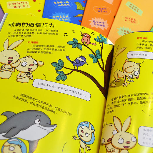 疯狂的生物全8册 商品图3