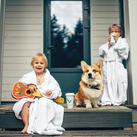 djeco曼波儿童玩具乐器马尤克里里，猫铁琴，变色龙小鼓，小鸟口哨 商品图5