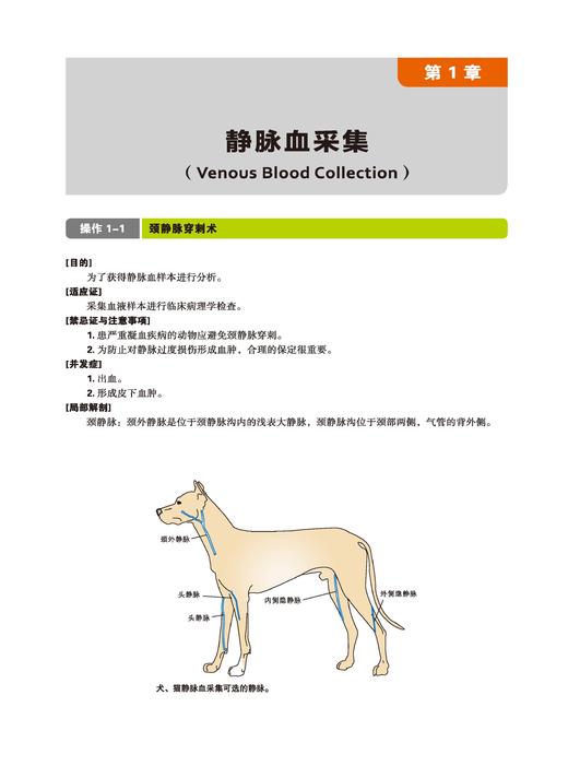 小动物临床技术标准图解（世界兽医经典著作译丛） 商品图1