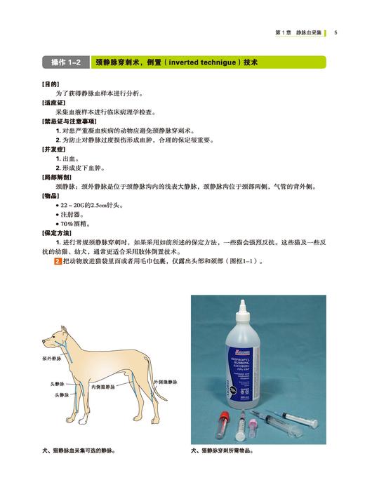 小动物临床技术标准图解（世界兽医经典著作译丛） 商品图5