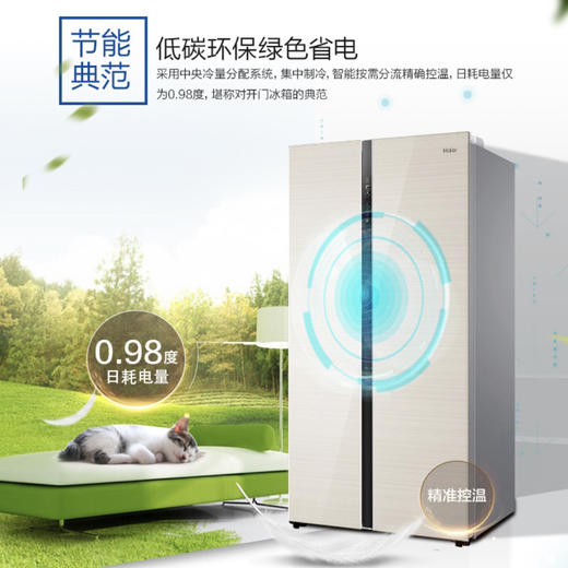 海尔（Haier）冰箱BCD-539WDCO 商品图6