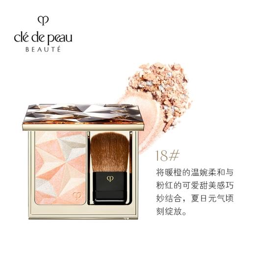 日本 CPB肌肤之钥 亮彩修容高光提亮定妆粉 10g 商品图4