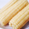 【严选+应季鲜食】张家口甜糯玉米 5根/份*2 商品缩略图1