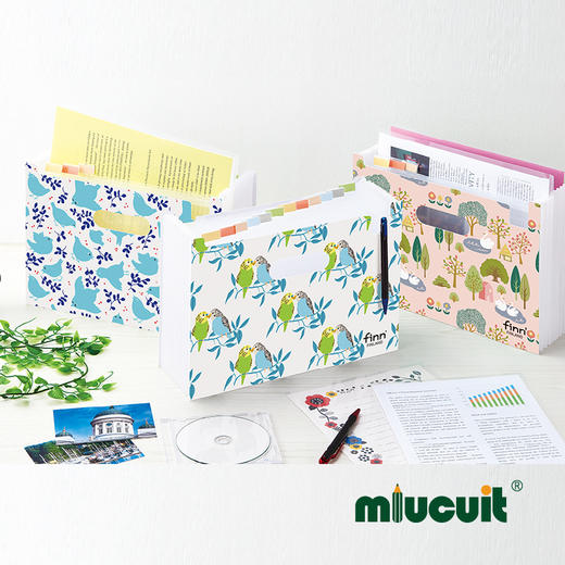 日本进口sedia-Finn 横版12档学生收纳风琴文件夹 商品图0