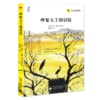 神秘岛飞行历险系列（全3册）来自天空的召唤+最后抵达的鹳鸟+吵架大王的冒险圭多孔蒂著 商品缩略图3