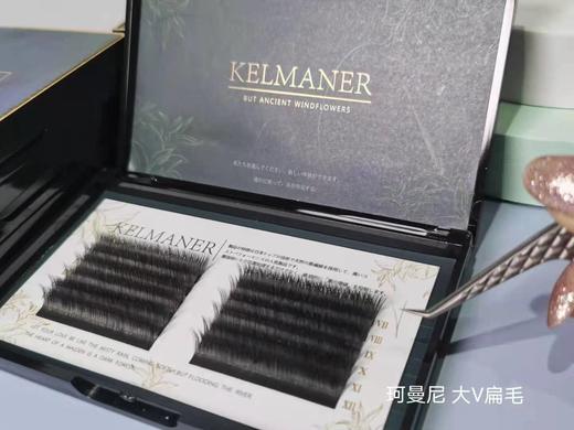 日本进口大V扁毛5款可选 商品图2