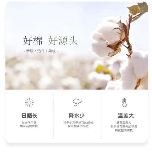 孤品 竹节条纹防晒服 商品图7