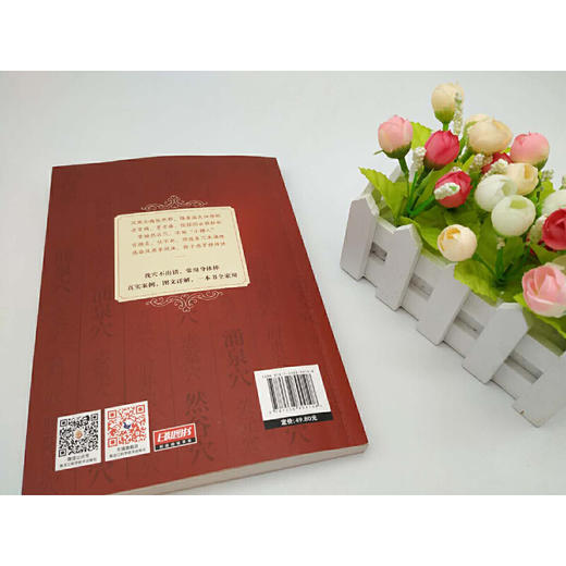 【正版】单桂敏穴位养生全书 造福上亿人的实用疗法，为健康提供多一份保障 商品图2