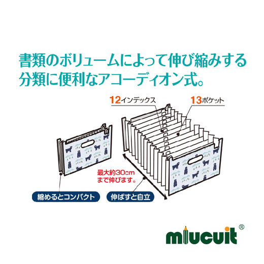 日本进口sedia-Finn 横版12档学生收纳风琴文件夹 商品图2