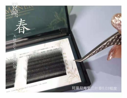 正品超软日本进口三叶草睫毛5款长度可选 商品图1