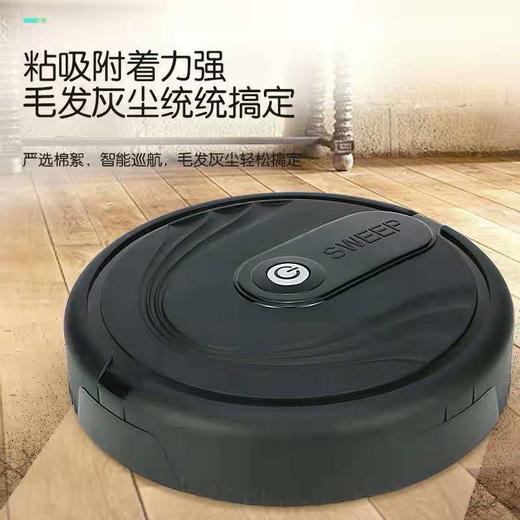 【家用电器】智能扫地机器人家用毛发清理机宠物玩具 商品图0
