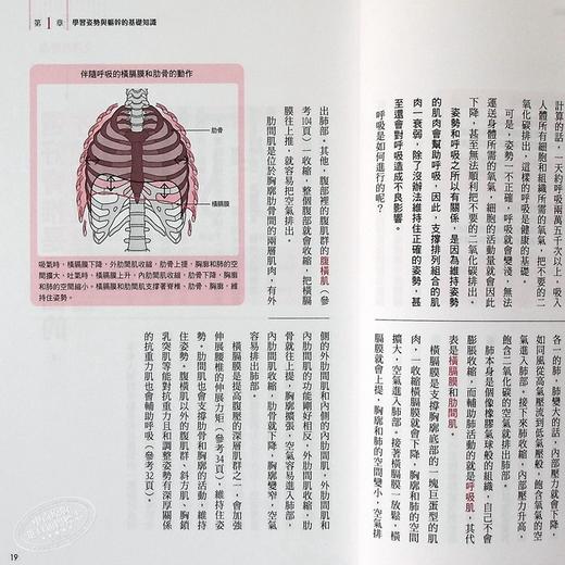 预售 姿势回正！83个一线物理疗法，导正你的身体！ 姿势回正！83个一线物理疗法，导正你的身体！ 商品图6