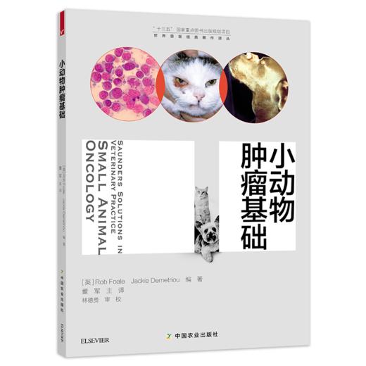 小动物肿瘤基础 商品图0