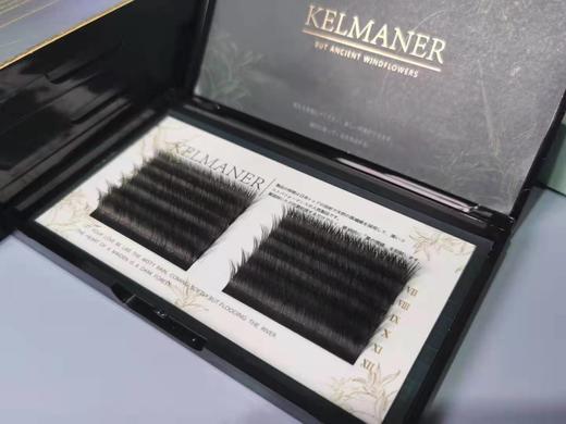 日本进口大V扁毛5款可选 商品图1